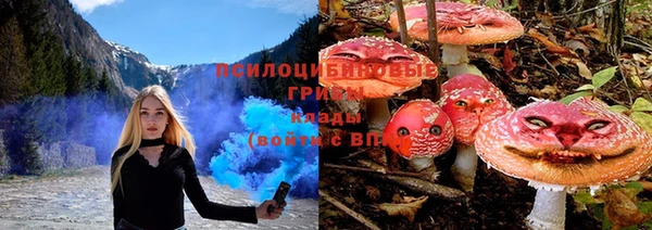 дживик Новодвинск