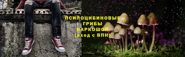 эйфоретик Новозыбков