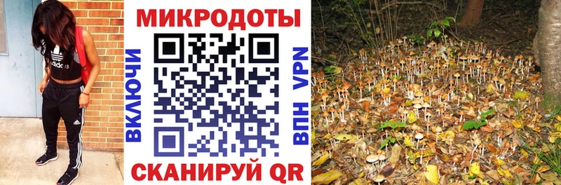 Псилоцибиновые грибы мухоморы  Сальск 