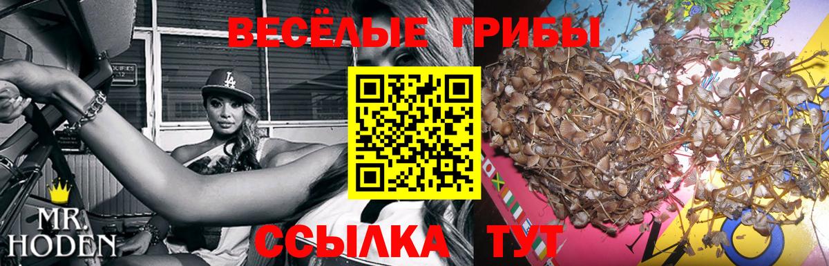 Галлюциногенные грибы Cubensis  Псилоцибиновые грибы Cubensis  Вход с VPN  Сальск 