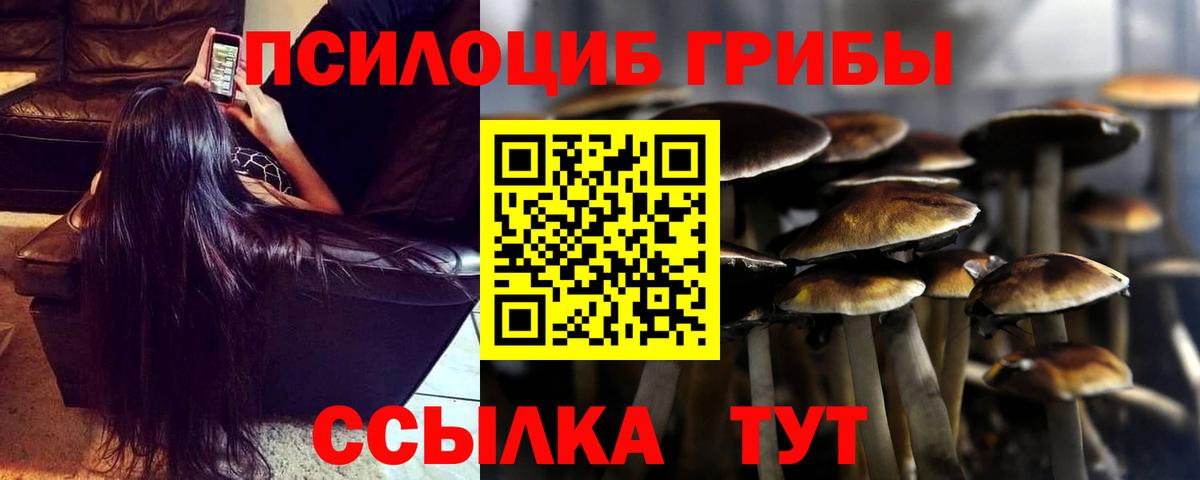 Галлюциногенные грибы Cubensis Сальск