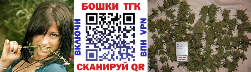 OMG онион  Сальск  Каннабис индика 